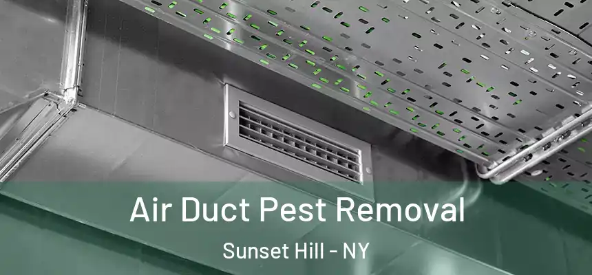 Air Duct Pest Removal Sunset Hill - NY