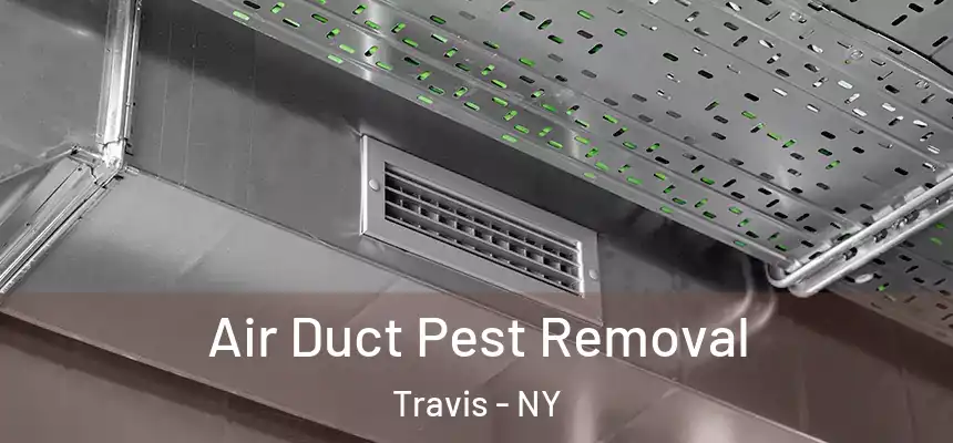  Air Duct Pest Removal Travis - NY