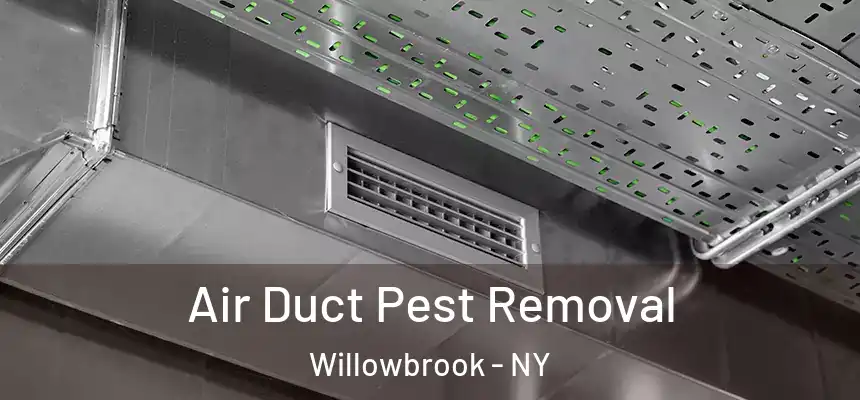 Air Duct Pest Removal Willowbrook - NY