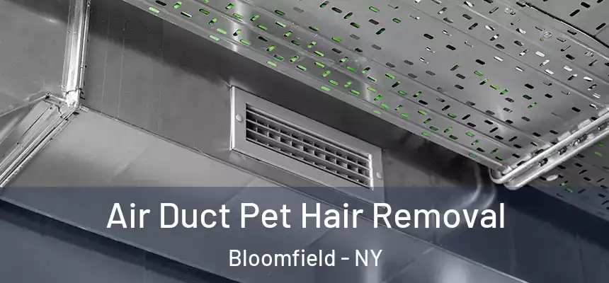  Air Duct Pet Hair Removal Bloomfield - NY