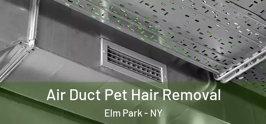  Air Duct Pet Hair Removal Elm Park - NY