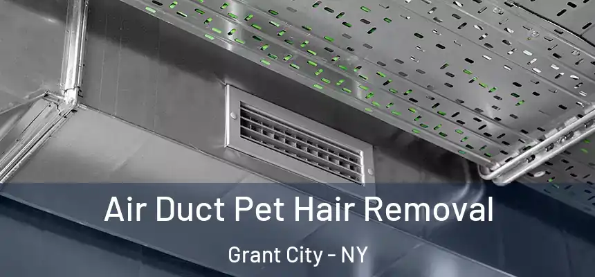  Air Duct Pet Hair Removal Grant City - NY