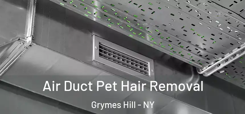  Air Duct Pet Hair Removal Grymes Hill - NY