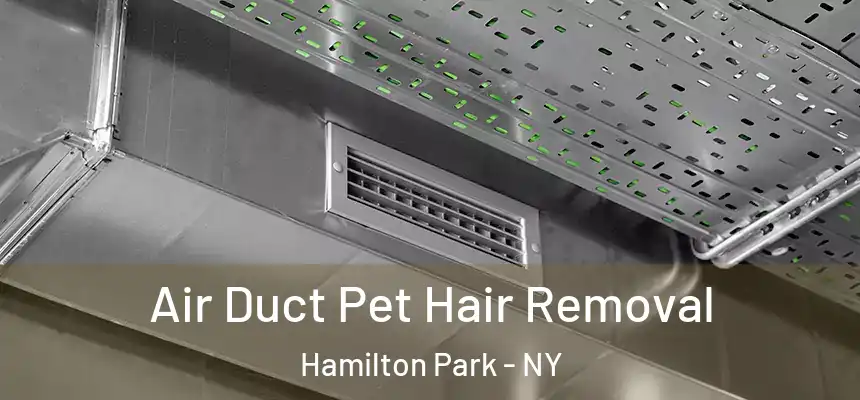  Air Duct Pet Hair Removal Hamilton Park - NY