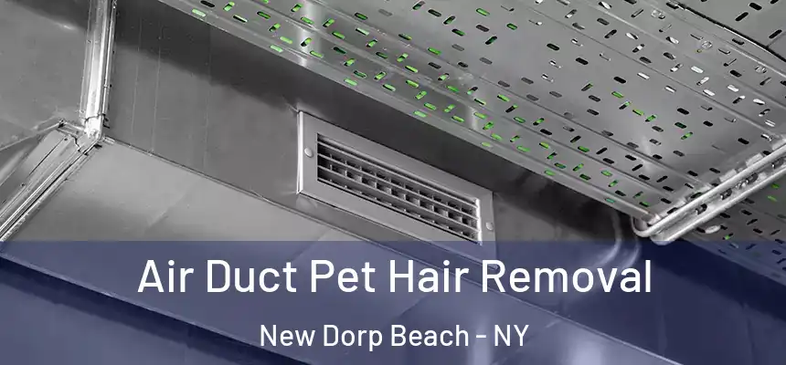 Air Duct Pet Hair Removal New Dorp Beach - NY