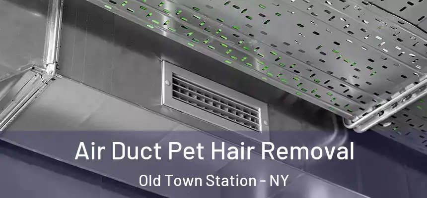  Air Duct Pet Hair Removal Old Town Station - NY