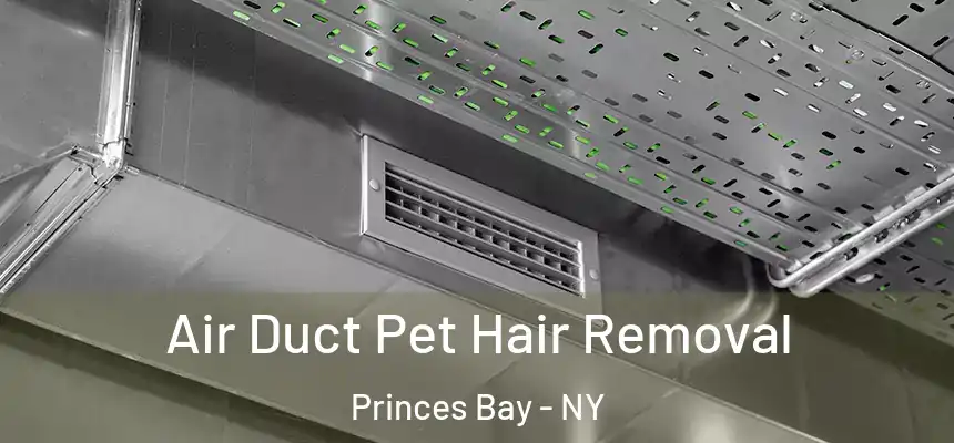  Air Duct Pet Hair Removal Princes Bay - NY