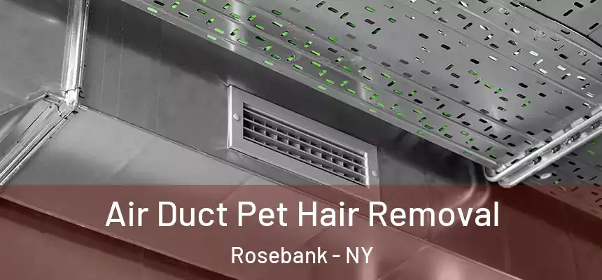  Air Duct Pet Hair Removal Rosebank - NY