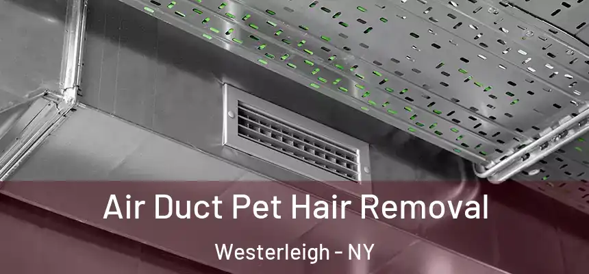  Air Duct Pet Hair Removal Westerleigh - NY