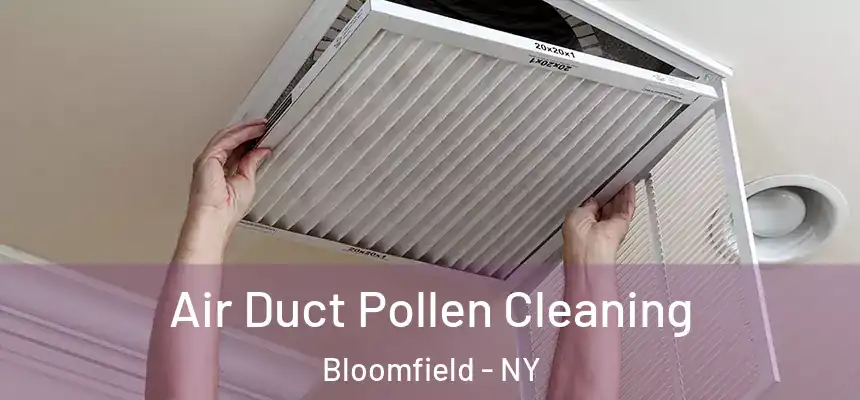 Air Duct Pollen Cleaning Bloomfield - NY