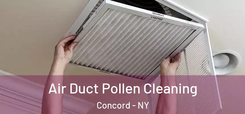Air Duct Pollen Cleaning Concord - NY