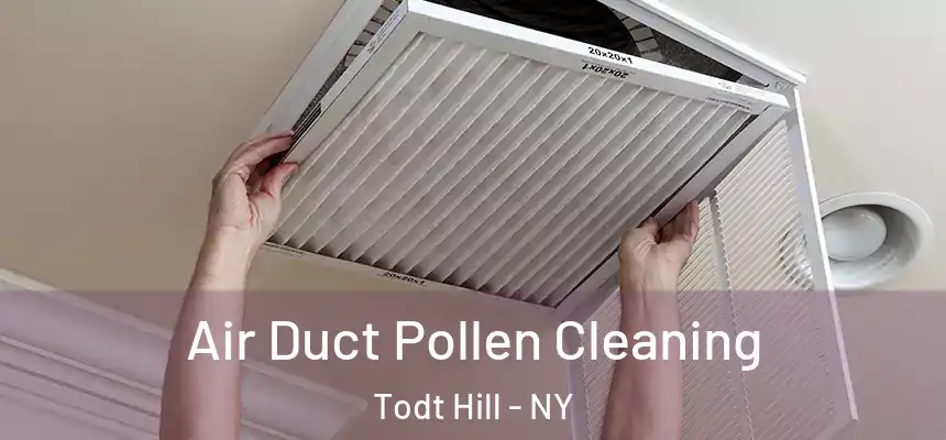Air Duct Pollen Cleaning Todt Hill - NY