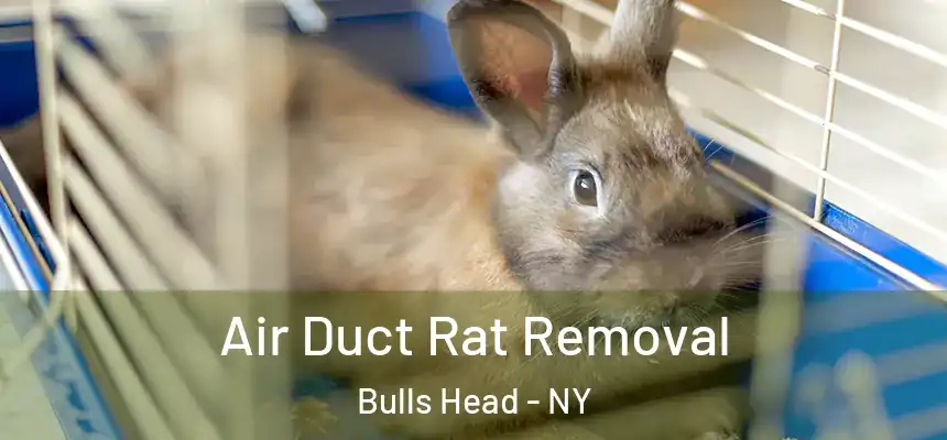  Air Duct Rat Removal Bulls Head - NY