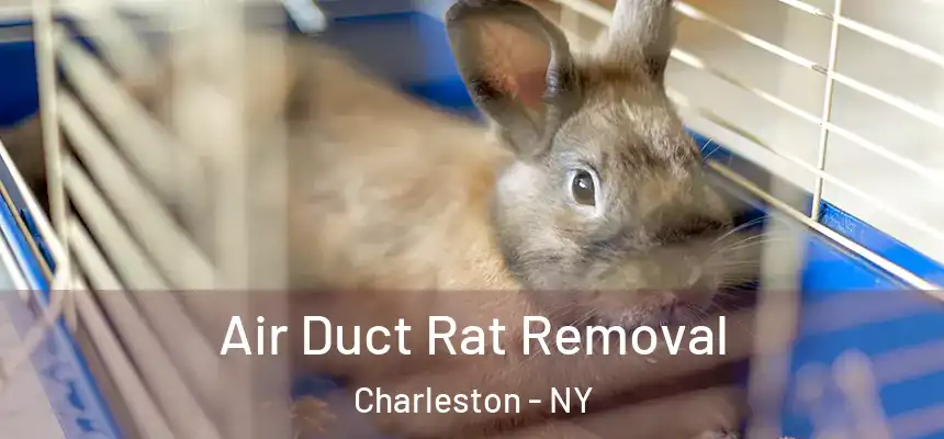 Air Duct Rat Removal Charleston - NY