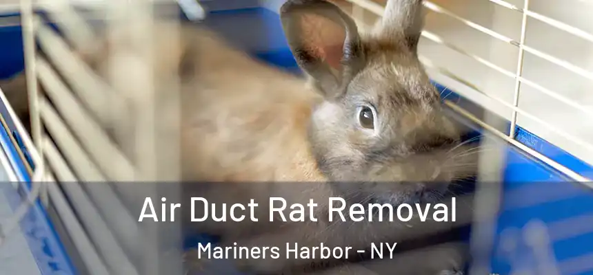 Air Duct Rat Removal Mariners Harbor - NY
