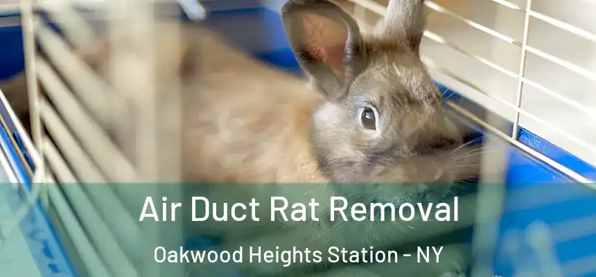 Air Duct Rat Removal Oakwood Heights Station - NY