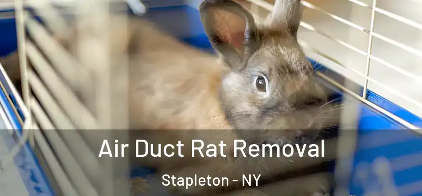  Air Duct Rat Removal Stapleton - NY