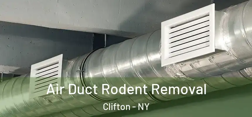  Air Duct Rodent Removal Clifton - NY