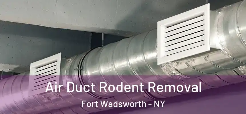 Air Duct Rodent Removal Fort Wadsworth - NY