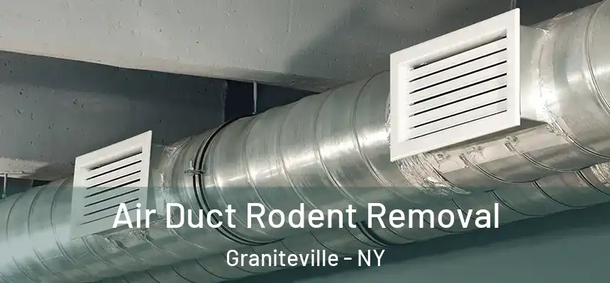 Air Duct Rodent Removal Graniteville - NY