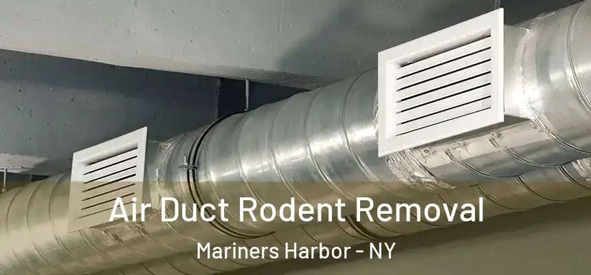  Air Duct Rodent Removal Mariners Harbor - NY