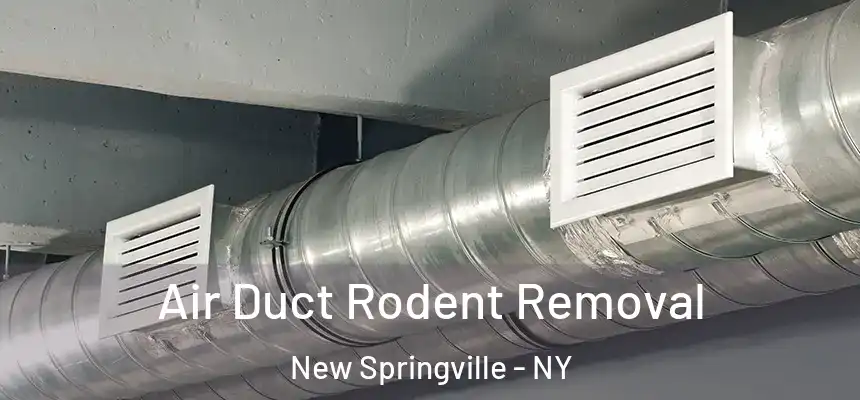  Air Duct Rodent Removal New Springville - NY
