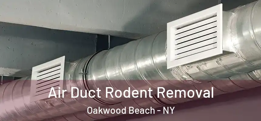  Air Duct Rodent Removal Oakwood Beach - NY