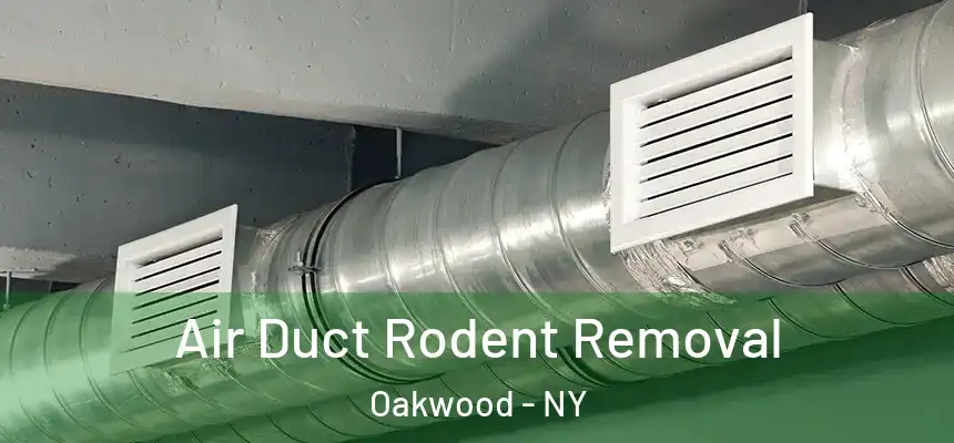Air Duct Rodent Removal Oakwood - NY