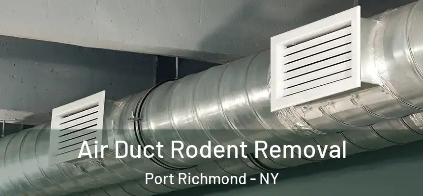 Air Duct Rodent Removal Port Richmond - NY