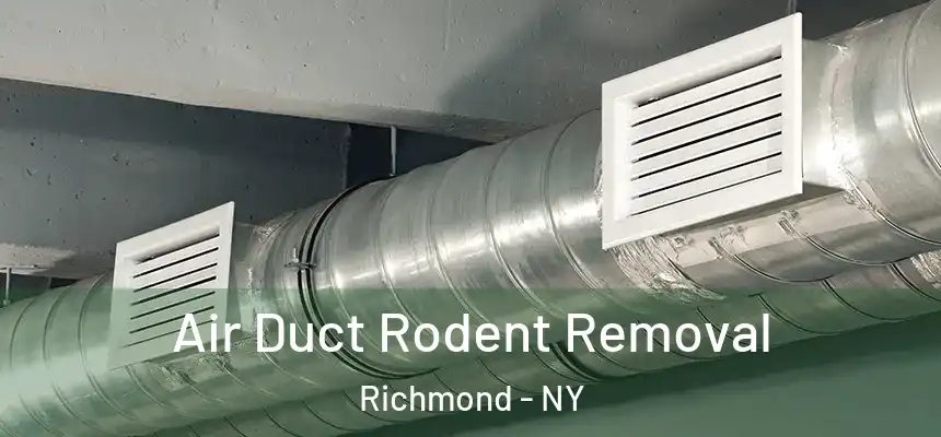 Air Duct Rodent Removal Richmond - NY