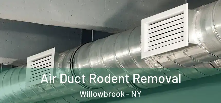 Air Duct Rodent Removal Willowbrook - NY