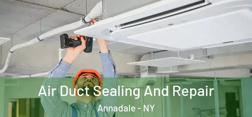  Air Duct Sealing And Repair Annadale - NY