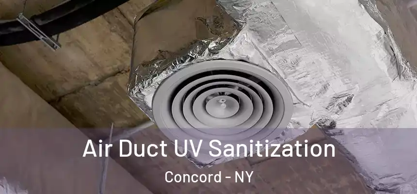  Air Duct UV Sanitization Concord - NY