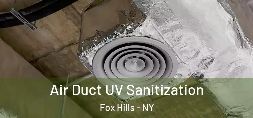  Air Duct UV Sanitization Fox Hills - NY