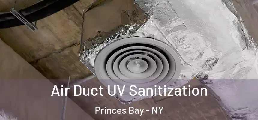 Air Duct UV Sanitization Princes Bay - NY