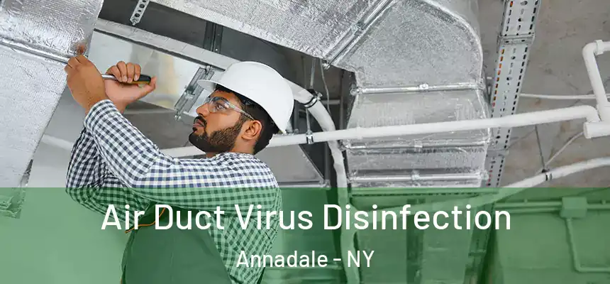  Air Duct Virus Disinfection Annadale - NY