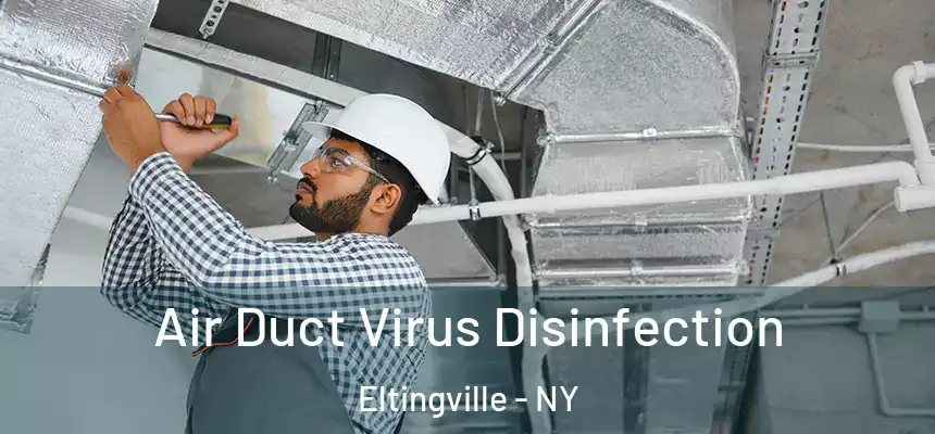  Air Duct Virus Disinfection Eltingville - NY