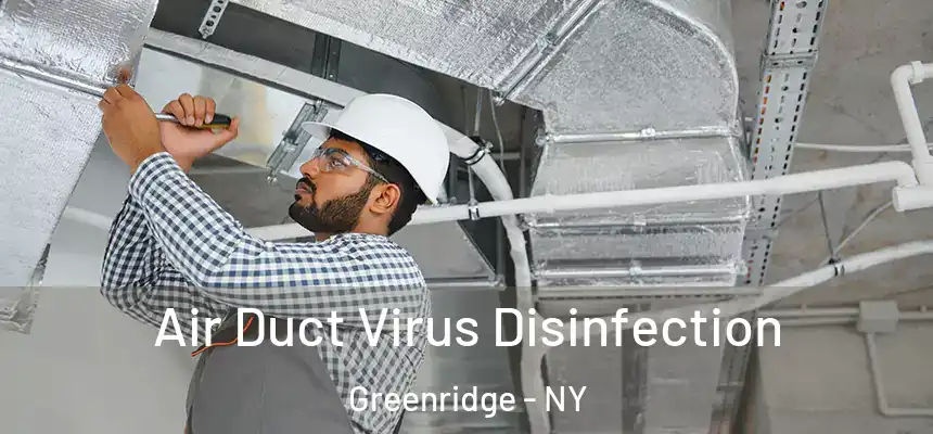  Air Duct Virus Disinfection Greenridge - NY