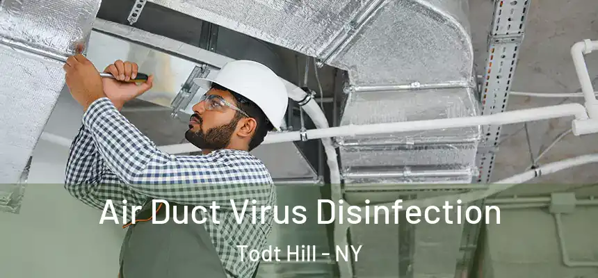  Air Duct Virus Disinfection Todt Hill - NY