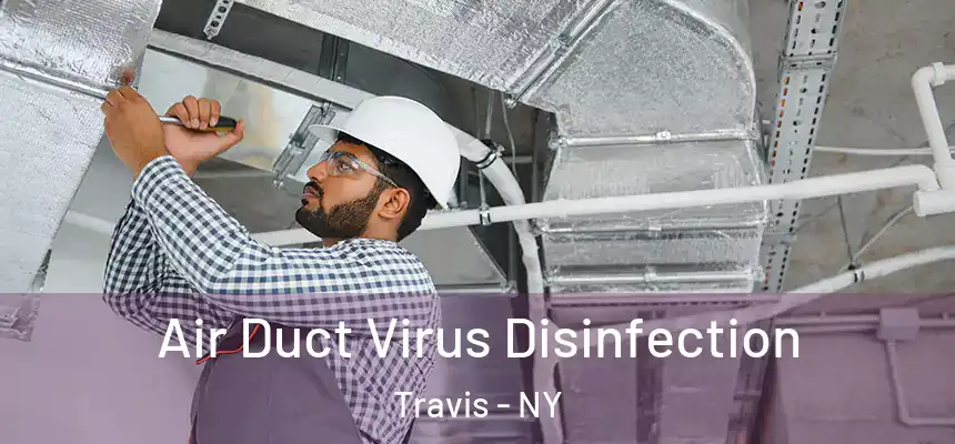 Air Duct Virus Disinfection Travis - NY