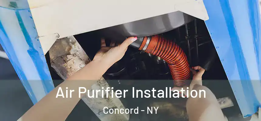  Air Purifier Installation Concord - NY