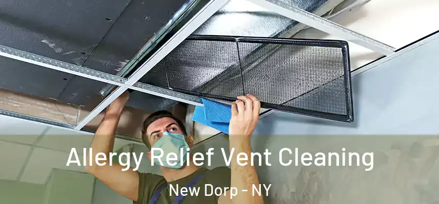  Allergy Relief Vent Cleaning New Dorp - NY