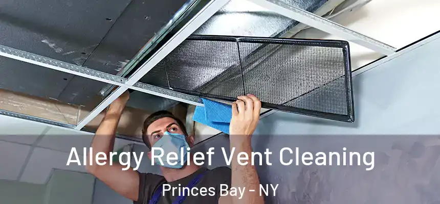 Allergy Relief Vent Cleaning Princes Bay - NY