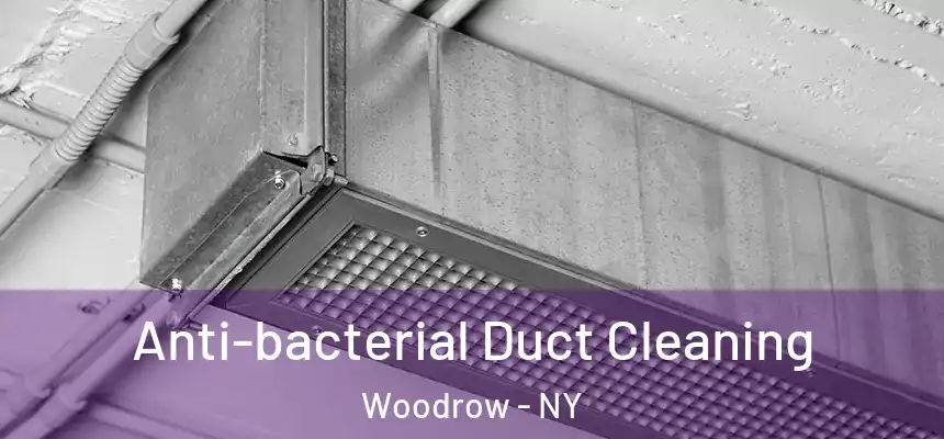 Anti-bacterial Duct Cleaning Woodrow - NY