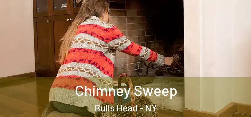  Chimney Sweep Bulls Head - NY