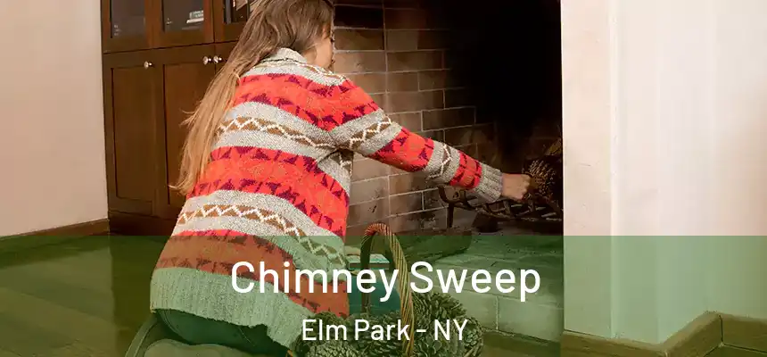 Chimney Sweep Elm Park - NY