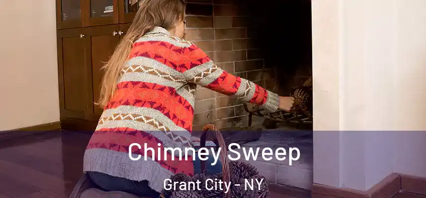  Chimney Sweep Grant City - NY
