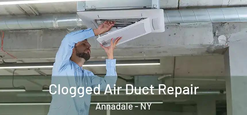 Clogged Air Duct Repair Annadale - NY