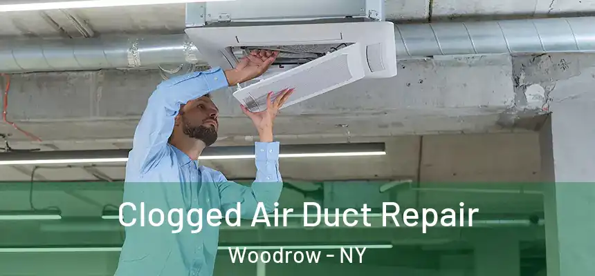  Clogged Air Duct Repair Woodrow - NY