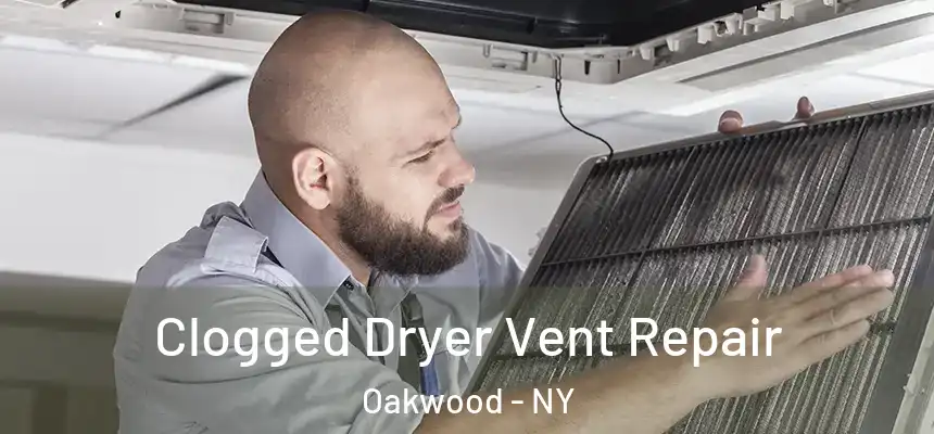  Clogged Dryer Vent Repair Oakwood - NY